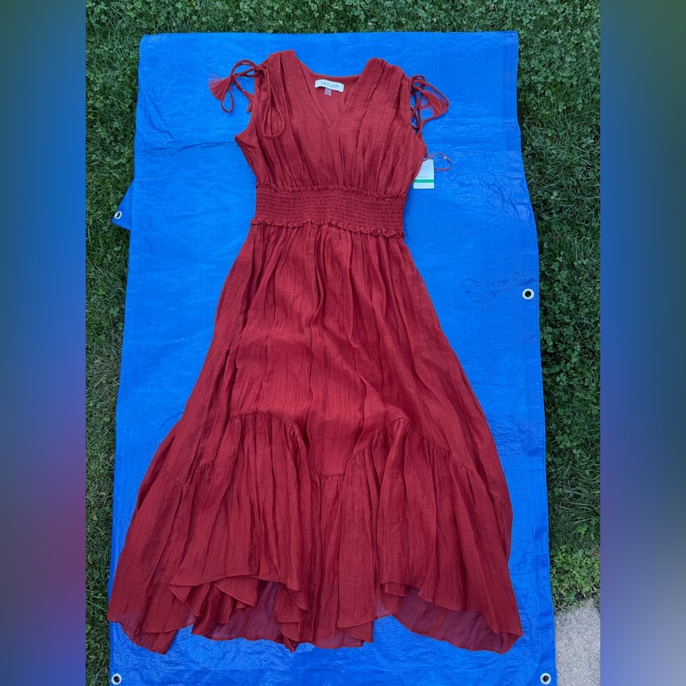 Elegant  burnt Red Sleeveless Dress